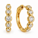 Auskarai su briliantais "Diane" 1,05 ct