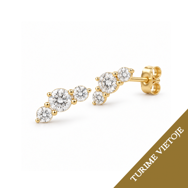 Auskarai su briliantais "Nysa" 0,16 ct