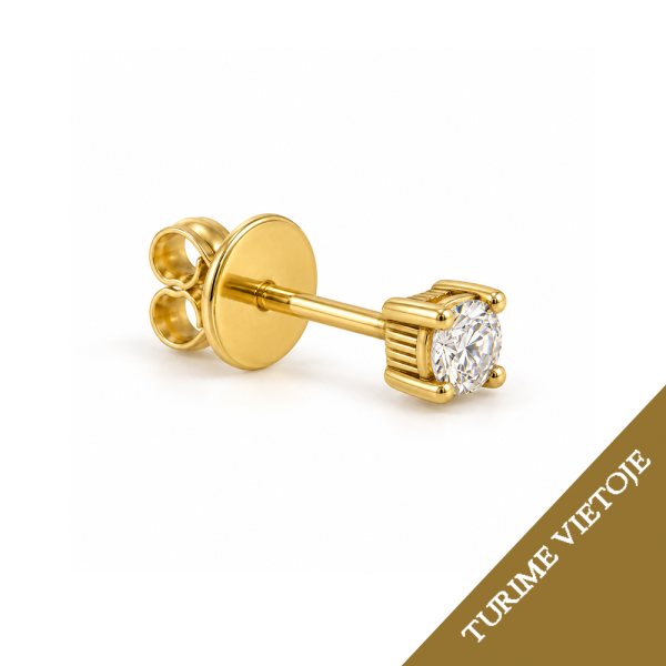 0,06 ct auskaras (1 vnt.) su briliantu "Roche"