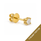 0,06 ct auskaras (1 vnt.) su briliantu "Roche"