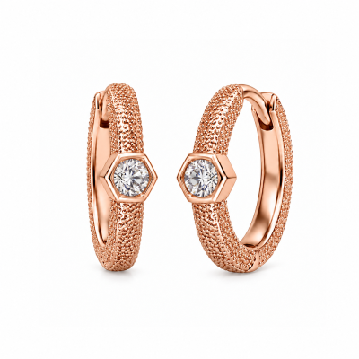 Auskarai su briliantais "Alcor" 0,05 ct
