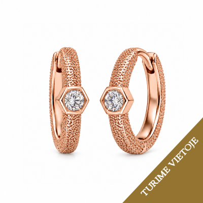 Auskarai su briliantais "Alcor" 0,05 ct