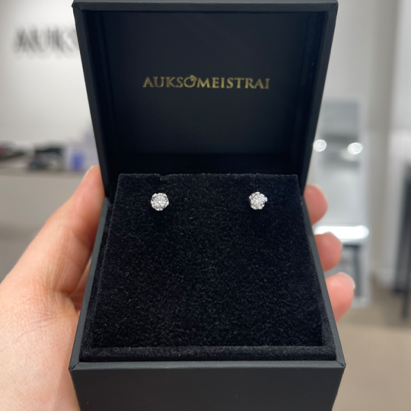0,20 ct auskarai su briliantais "Elegant"