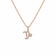 Zodiakas "Ožiaragis" 0,04 ct