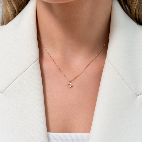 Zodiakas "Ožiaragis" 0,04 ct