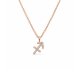 Zodiakas "Šaulys" 0,04 ct