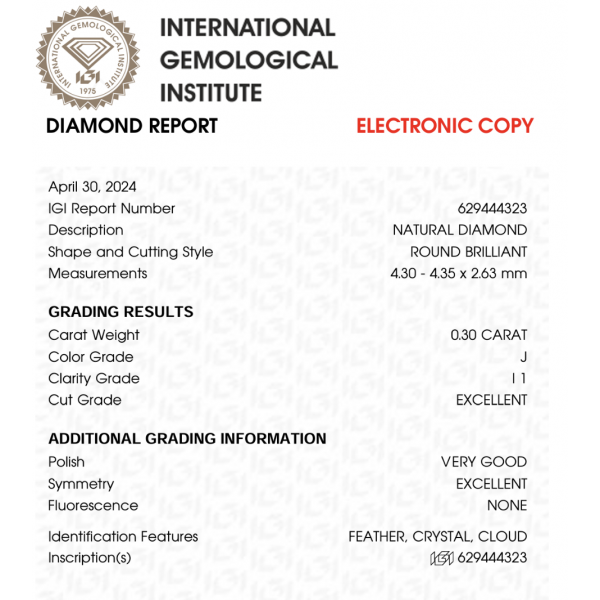 0,60 ct auskarai su briliantais "Elegant"