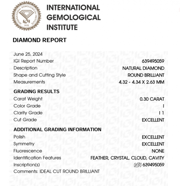 0,60 ct auskarai su briliantais "Klasika"
