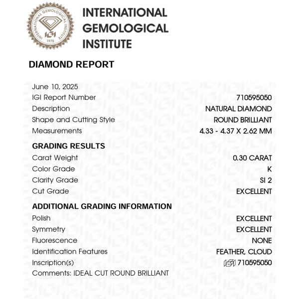 0,60 ct auskarai su briliantais "Klasika"