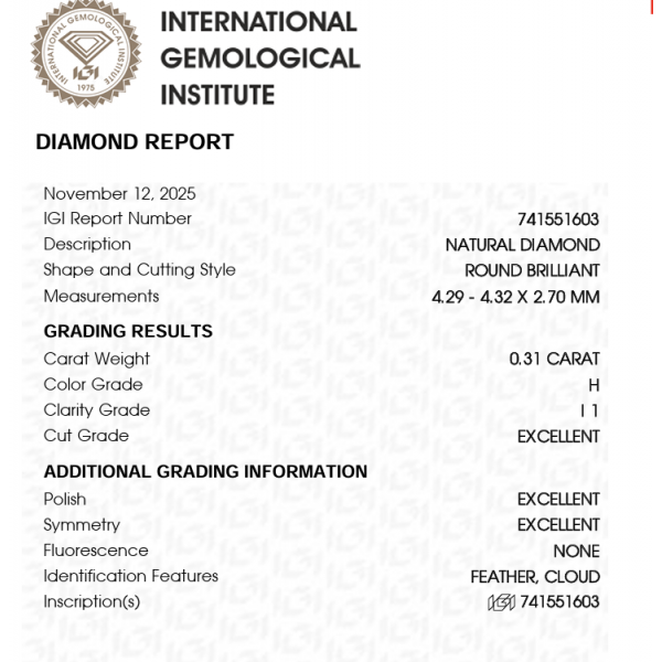 0,61 ct auskarai su briliantais "Elegant"