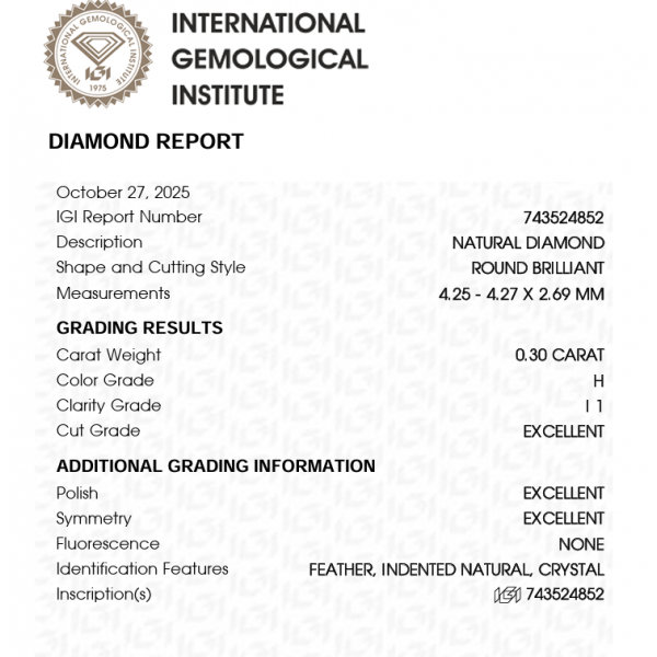 0,61 ct auskarai su briliantais "Elegant"