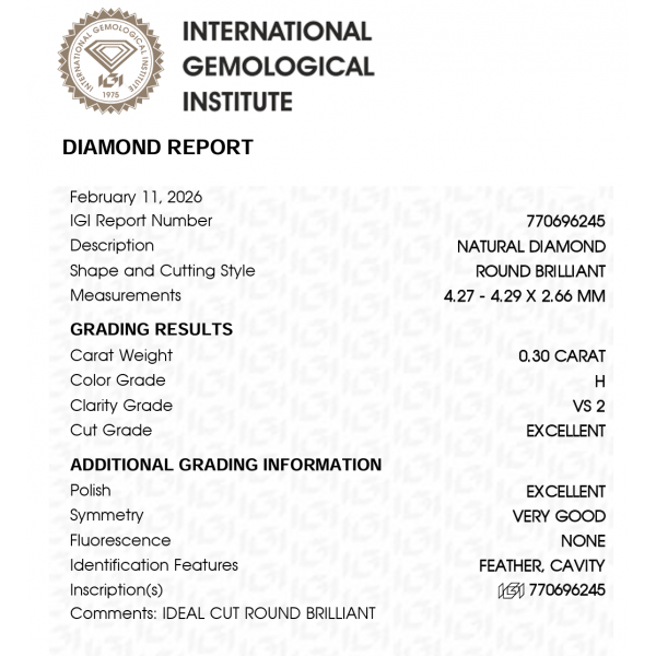 0,60 ct auskarai su briliantais "Kloe"